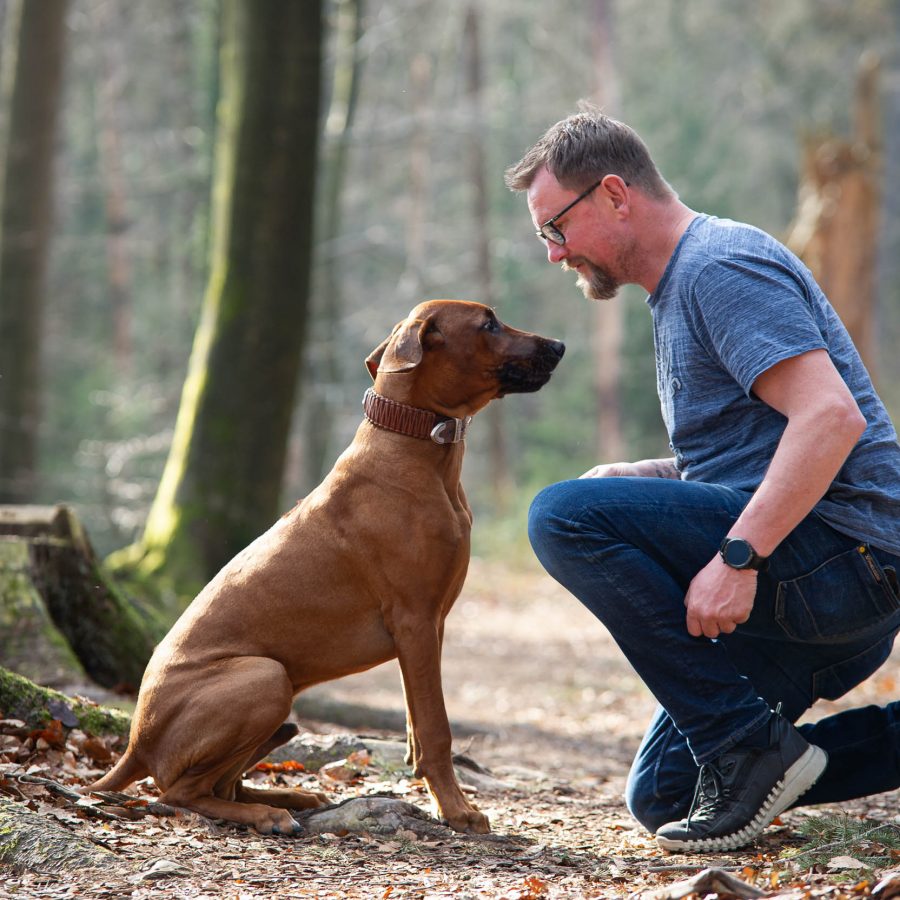 Thomas Glich, Inhaber der Hundeschule Dog's Point