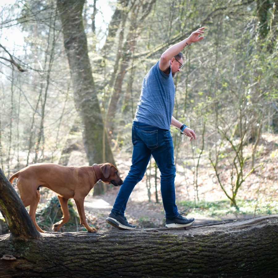 Hundeschule Gütersloh - Thomas balanciert mit Hund auf Baumstamm
