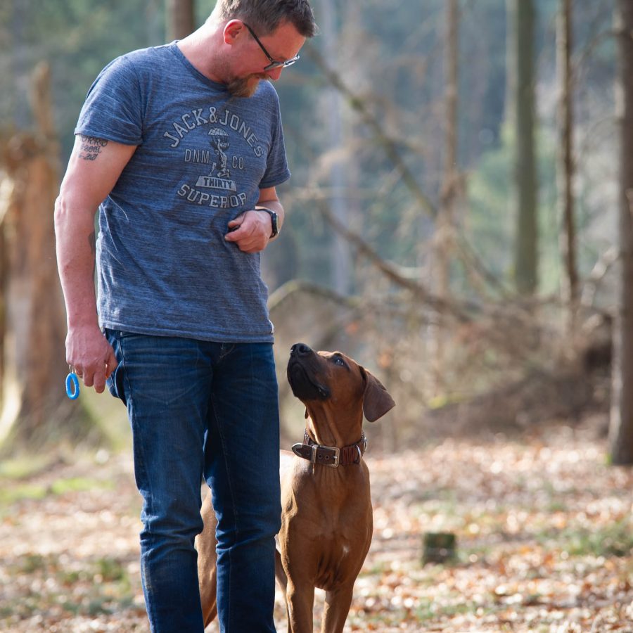 Dogs Point Verl Ihre Hundeschule in Gütersloh